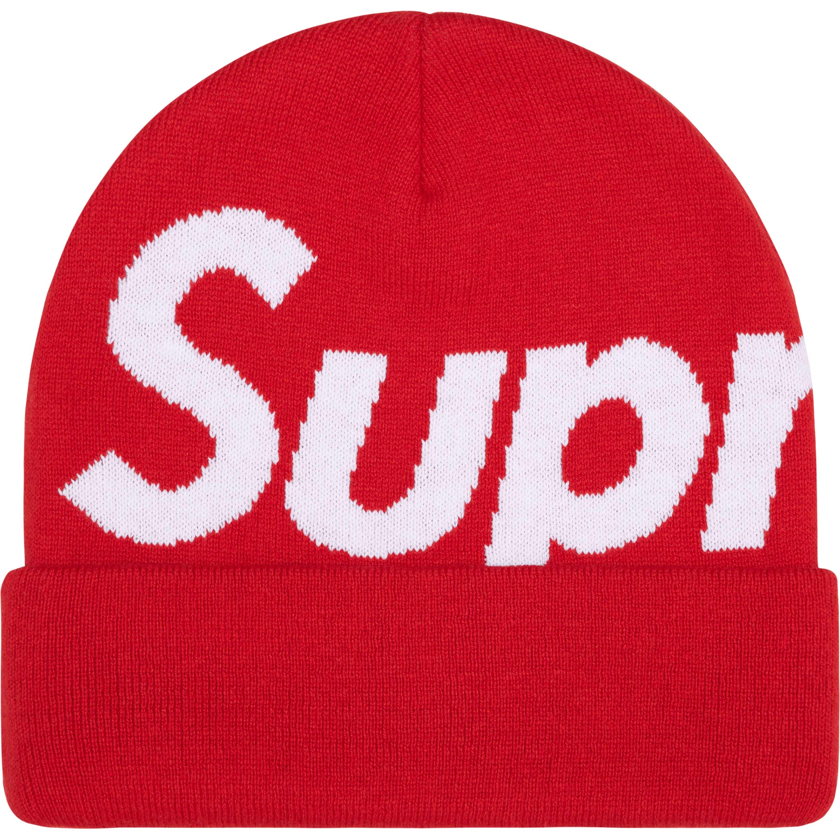 Big Logo Beanie view 6